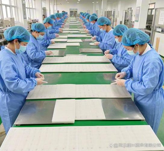 康正药业:质量管理与消字号代工生产的协同作用