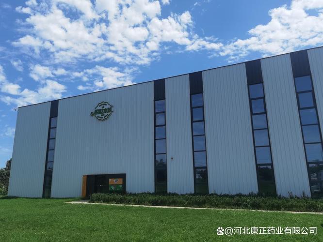 康正药业:给连锁药房的行动建议,选择代工厂三要素