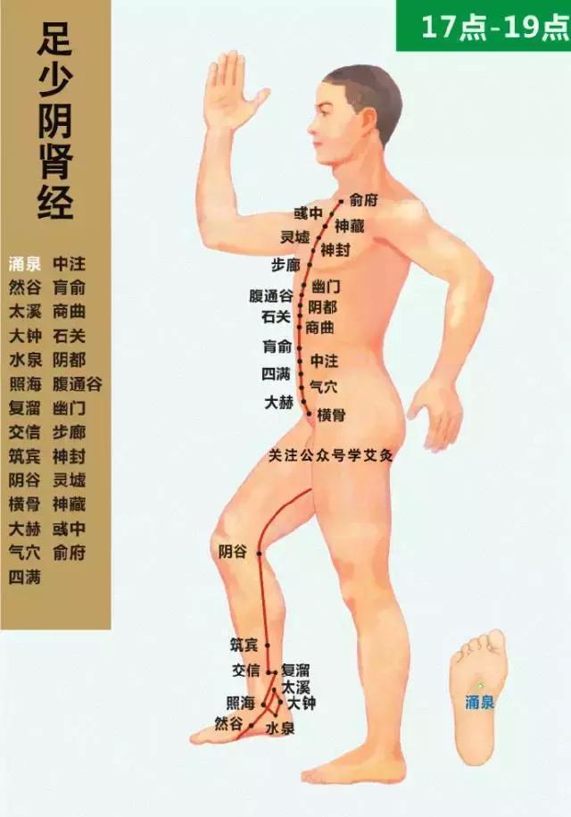 康正药业|经络循行动图,人体所有穴位都在!